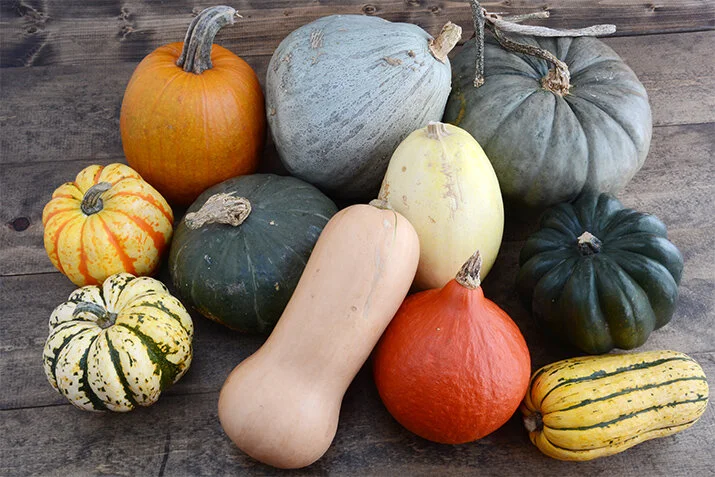 Winter Squash Guide — Moscow Food Co-op